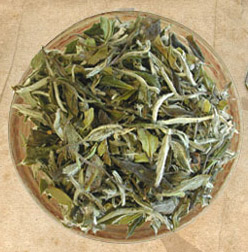 Organic White Tea - 1 pound Bag