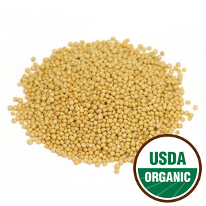 Yellow Mustard Seed Organic 1oz