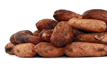 Cacao Beans - Raw Organic - 1oz.