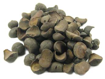 Ramon Nut Roasted Organic - 1 oz.