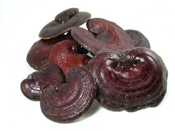 Reishi Mushroom Whole Organic - 1 oz.